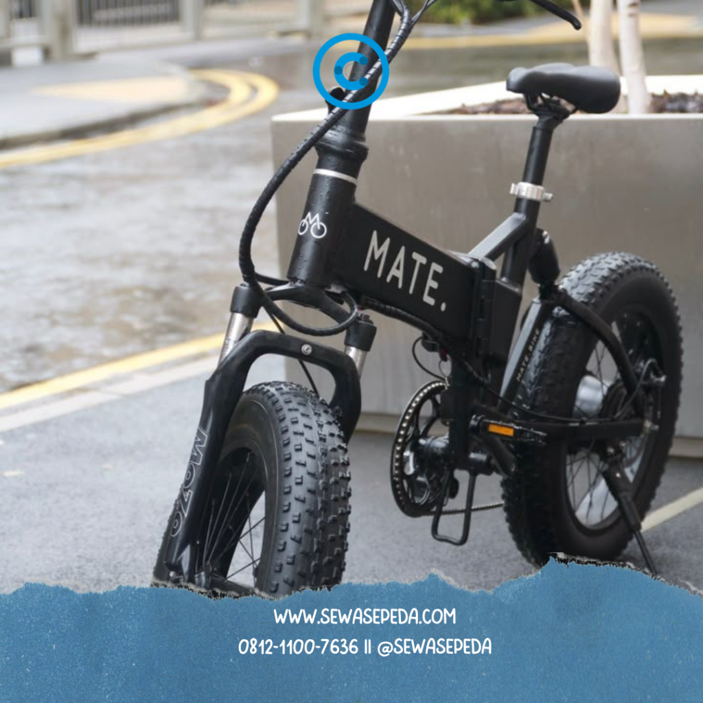 sepeda listrik untuk mobilitas 