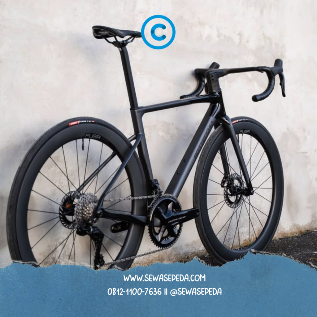 Road Bike untuk Disewa